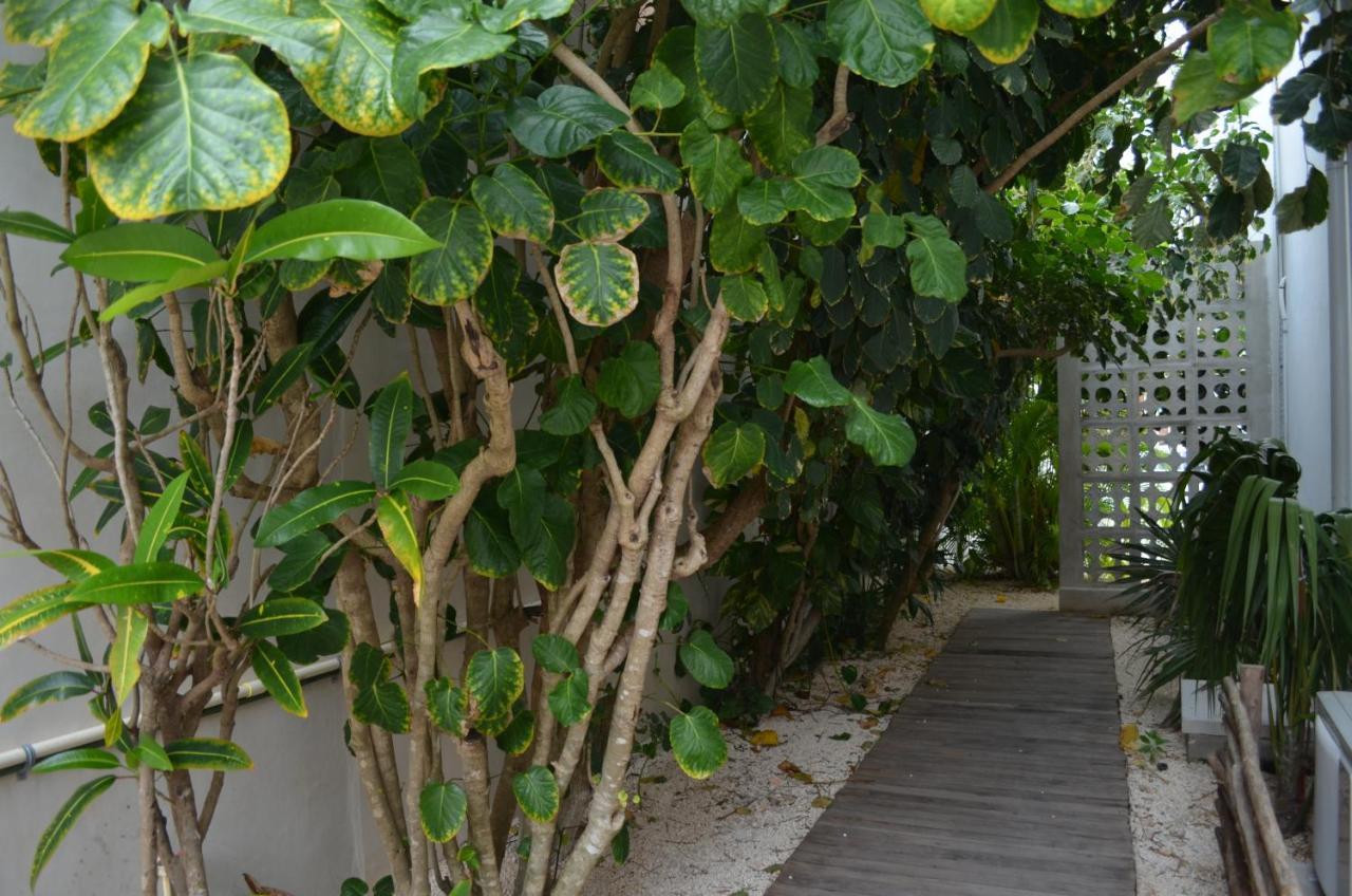 Cielo Neuf Cancún Exterior foto